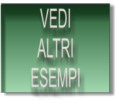 VEDI ALTRI ESEMPI